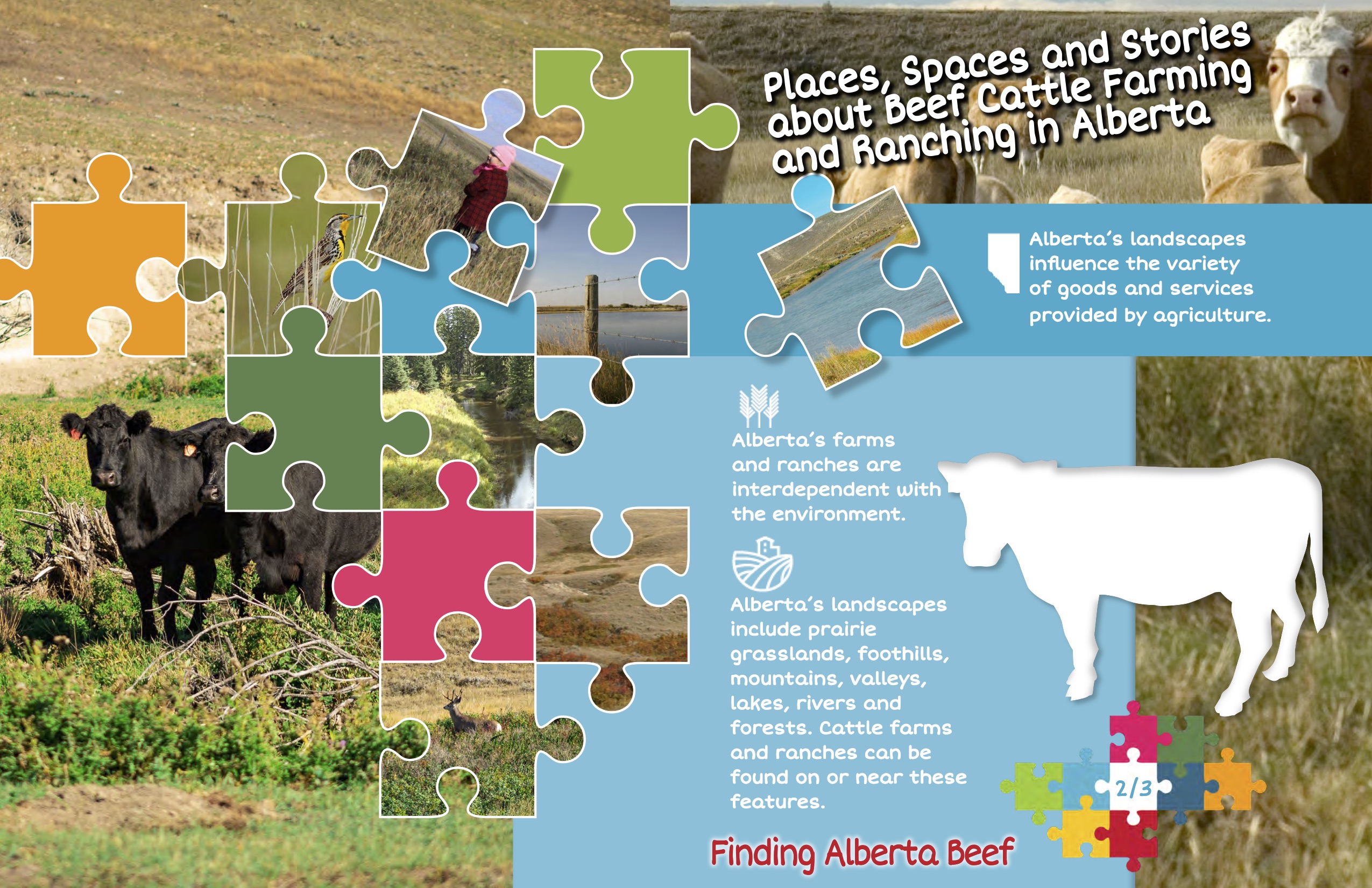 Finding Alberta Beef Infographic 2-3