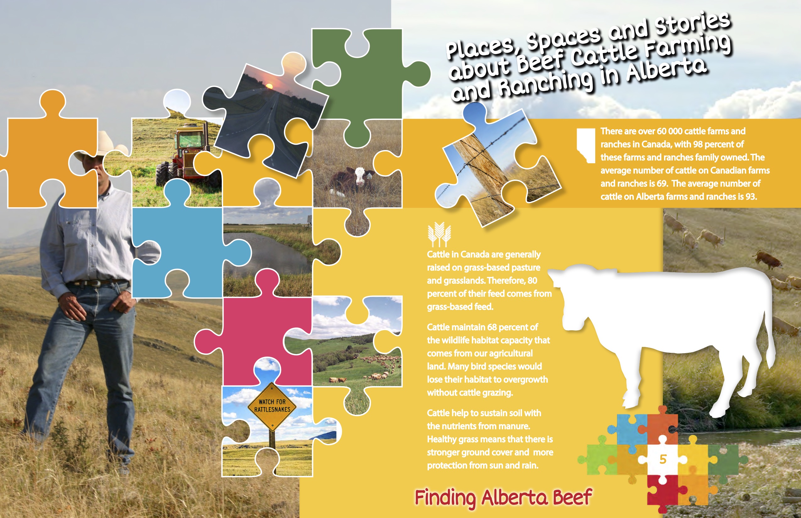 Finding Alberta Beef Infographic 5